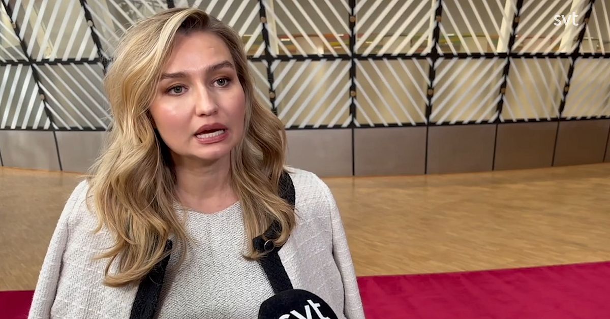 Ebba Busch (KD) om effektavgifterna: Ta bort dem