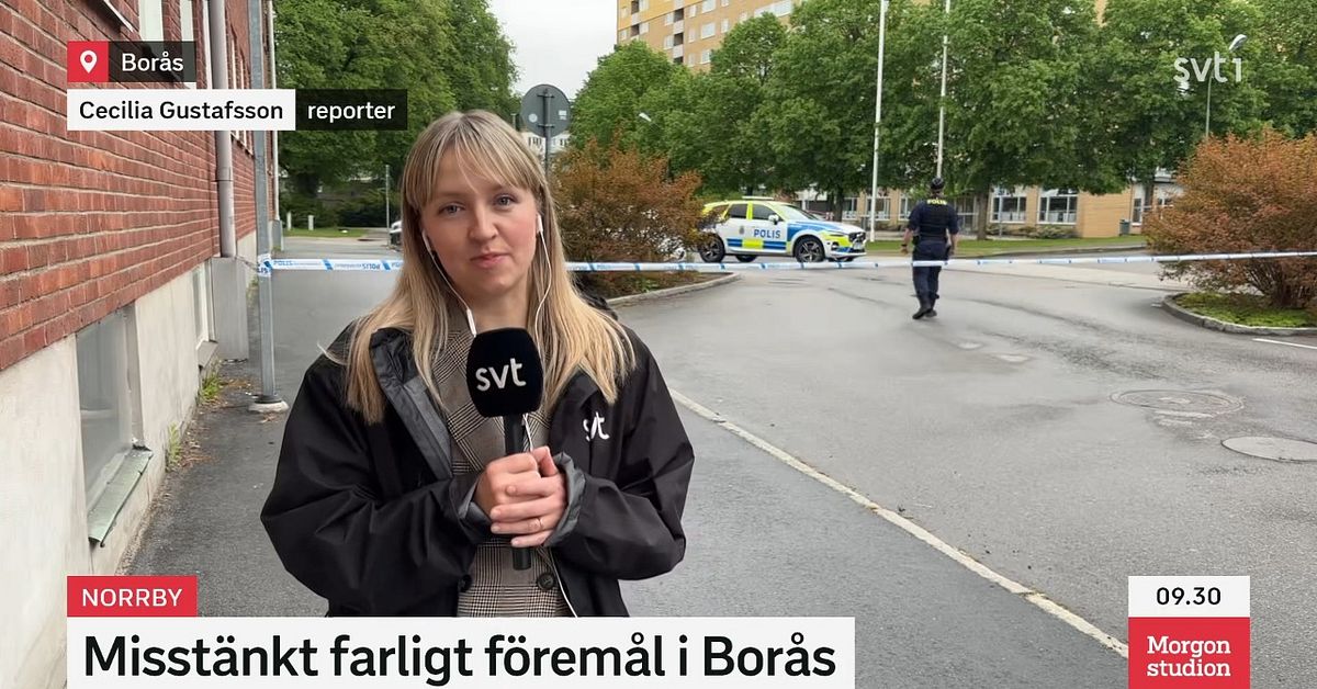F&ouml;rem&aring;l i Bor&aring;s var ofarligt