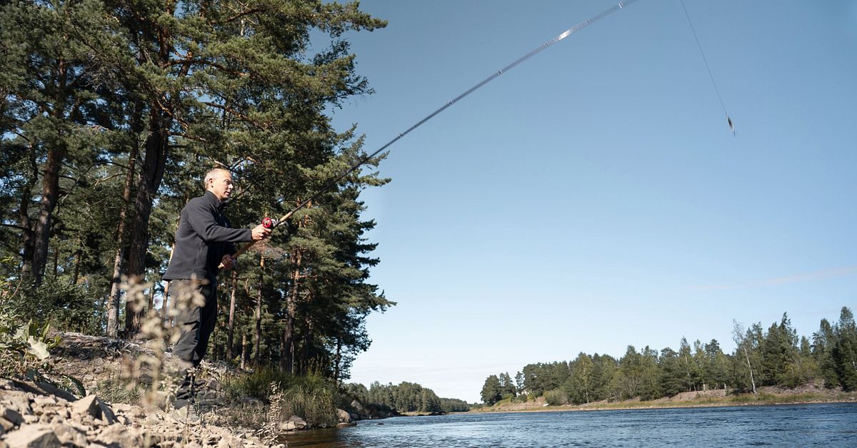 Fiskstoppet slår hårt mot Älvkarleby kommun: ”Själen försvinner”