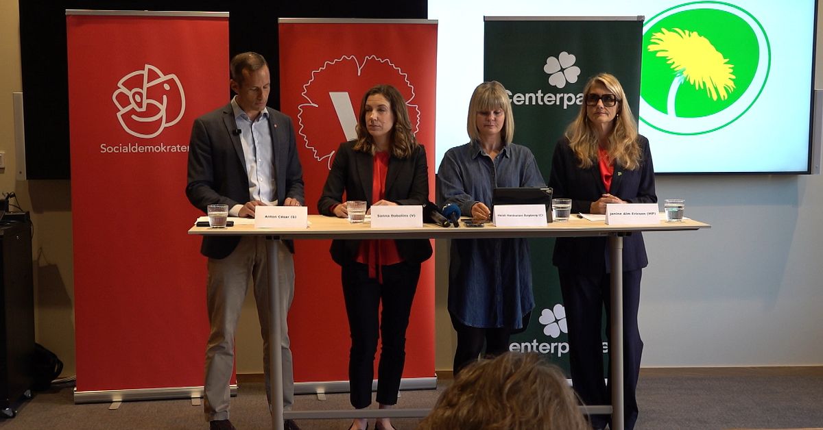 Efter chattskandalen i Alings&aring;s: S&aring; blir nya r&ouml;dgr&ouml;na styret
