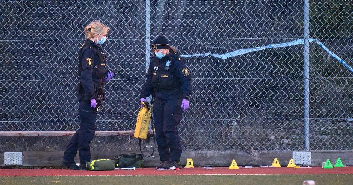 Uppgifter: Gripen ton&aring;rsflicka misst&auml;nkt f&ouml;r morden i V&aring;rby g&aring;rd och Malm&ouml;