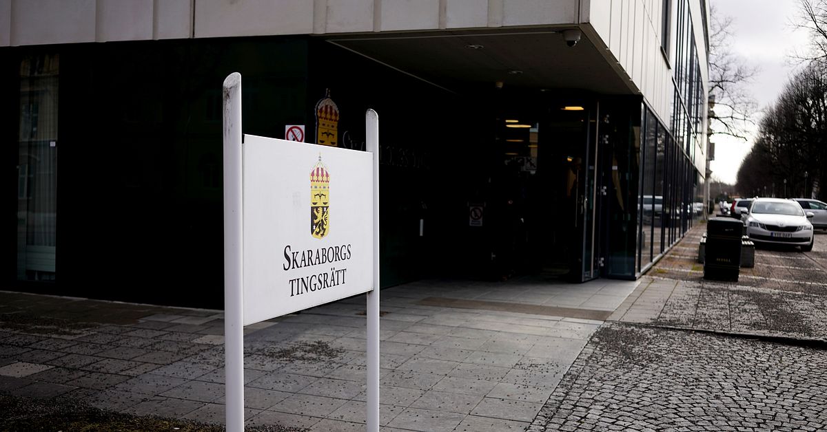 SD-politiker i Skaraborg v&aring;ldtog berusad kvinna &ndash; d&ouml;ms till f&auml;ngelse