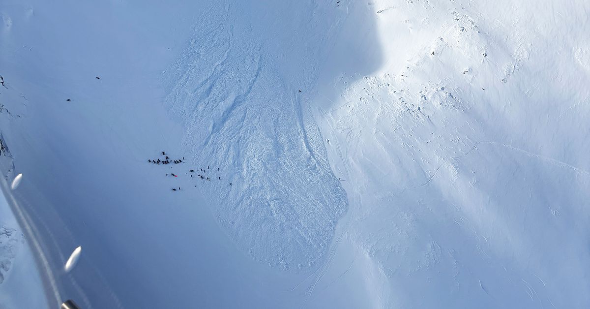 Polisen efter lavinen: &rdquo;Skoterf&ouml;rare tar enorma risker&rdquo;