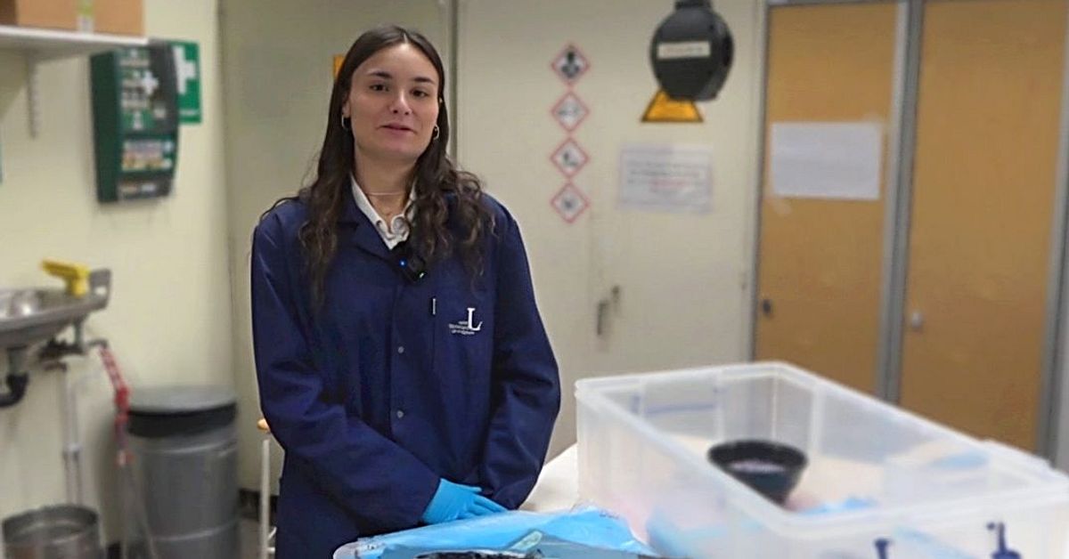 S&aring; kan trasiga hockeyklubbor  laga vindkraftsblad