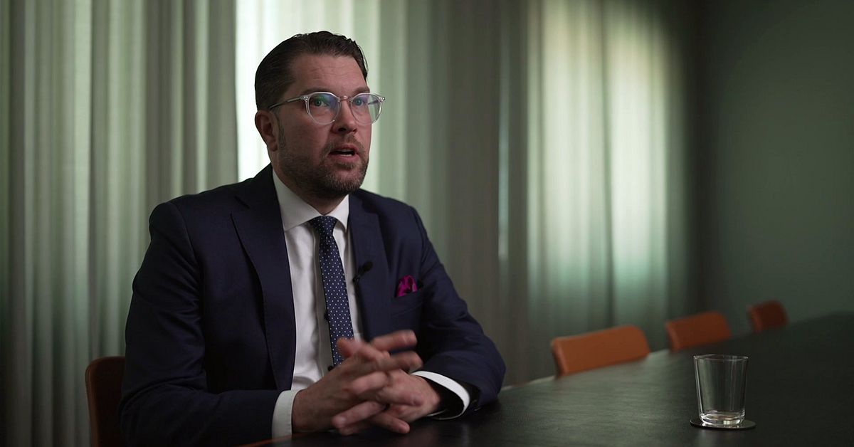 Jimmie Åkesson öppnar för ministerstyre