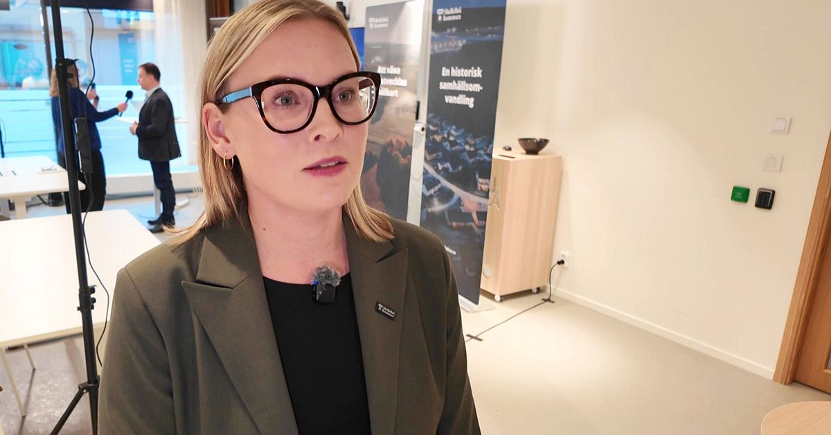 Skellefteå vill inte vänta på lagstiftning – ska införa registerkontroller