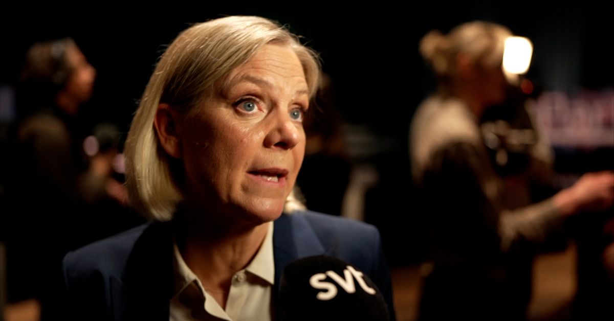 Magdalena Andersson om antifascistiska l&aring;ten: &rdquo;Alltid bra&rdquo;