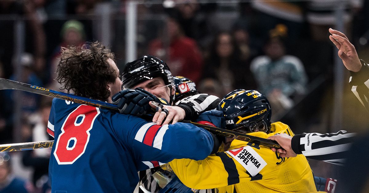 アイスホッケー：スウェーデン勝利後に審判を批判「試合に負けろ」