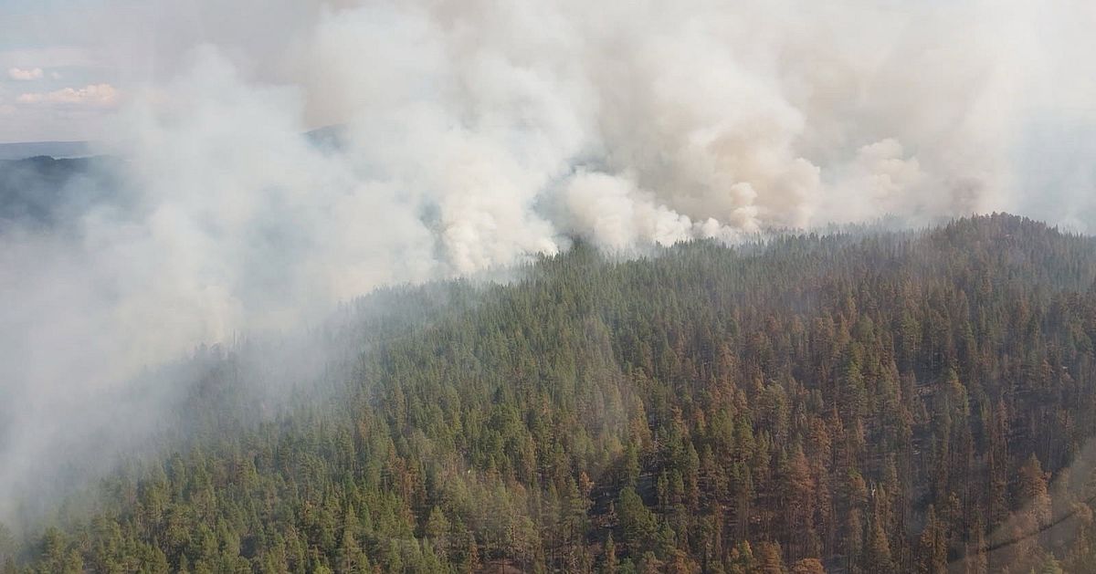 Enorm brand i väglöst land i Jokkmokk: ”Väntar på hjälp från himlen”