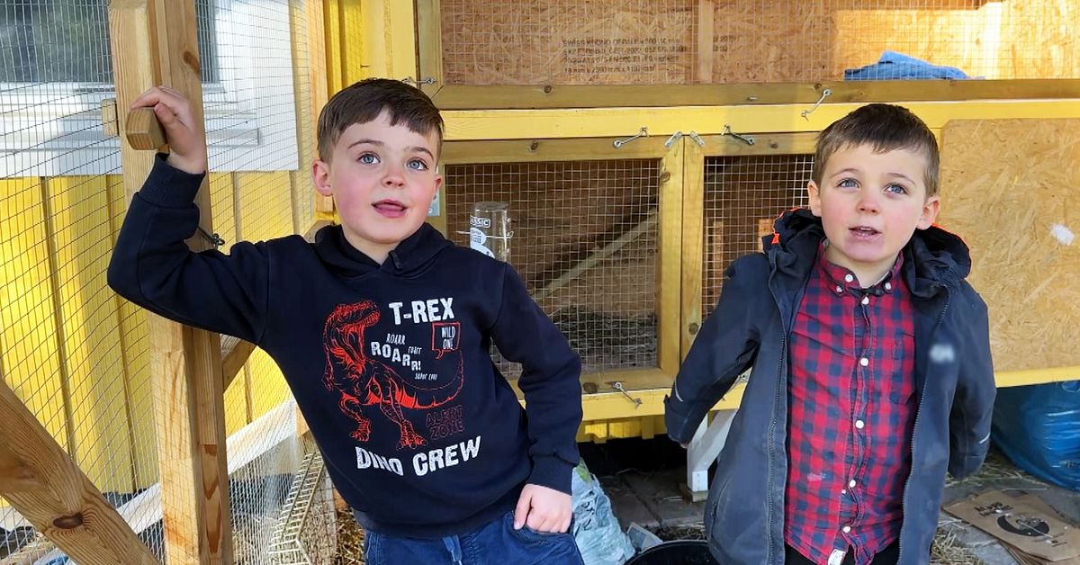 Br&ouml;derna Luigi, 7, och Julius, 5, s&auml;ljer kaninbajs som g&ouml;dsel &ndash; &rdquo;Tre veckors v&auml;ntetid&rdquo;