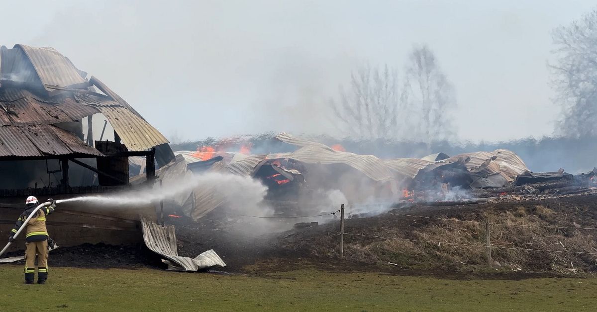 Tv&aring; ladug&aring;rdsbyggnader nedbrunna i Sillerud