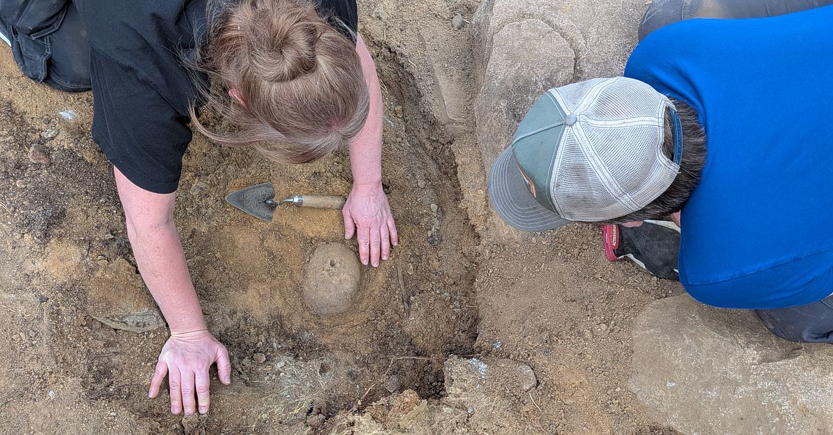 Udda fyndet utanf&ouml;r Nyk&ouml;ping: Trepanerad m&auml;nniskoskalle