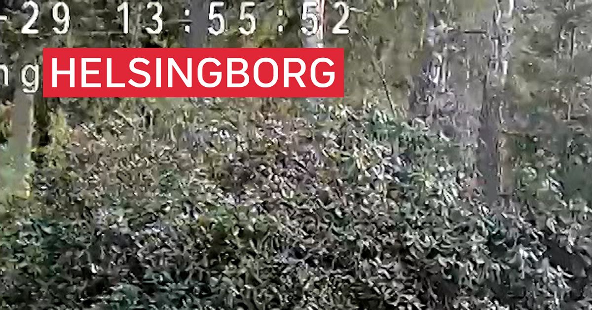 Högre risk för skåningar att få hjärtinfarkt | SVT Nyheter