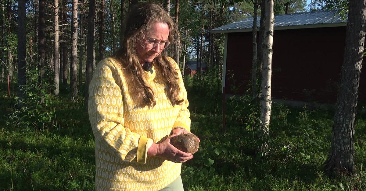 Följ med till meteoritbyn – här gömmer sig Sveriges äldsta krater