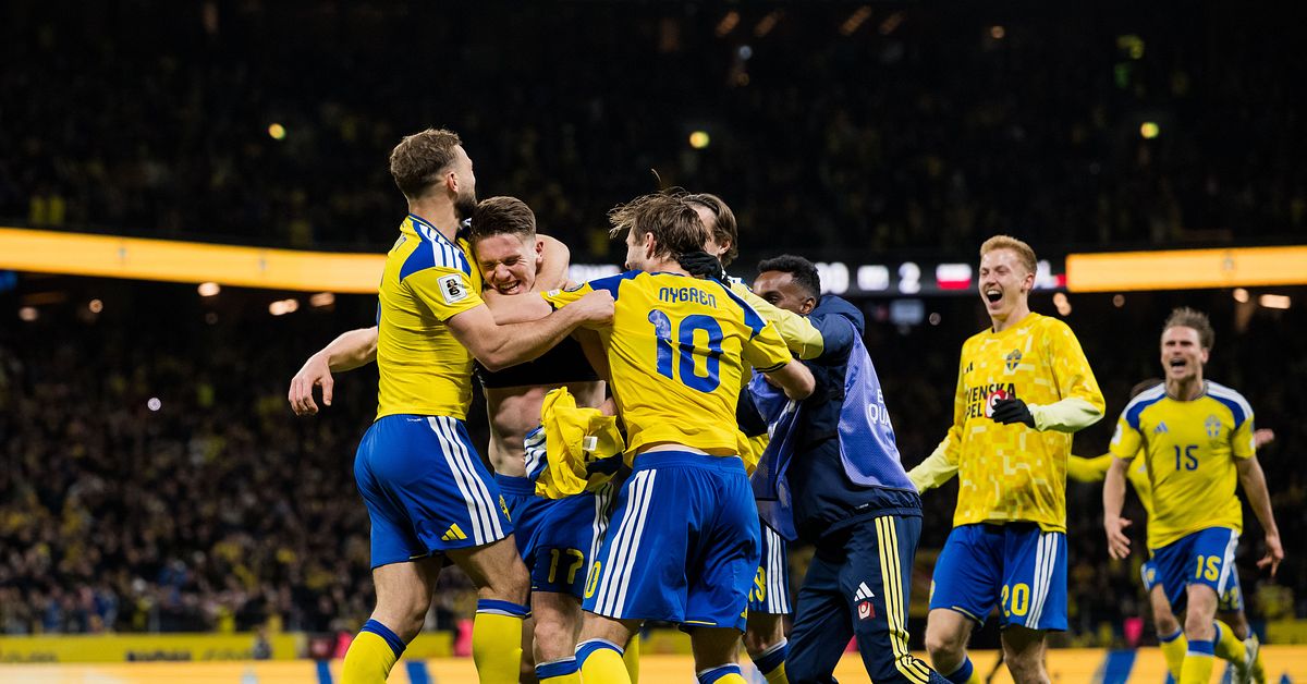 Pengaregn &ouml;ver landslaget efter VM-avancemanget