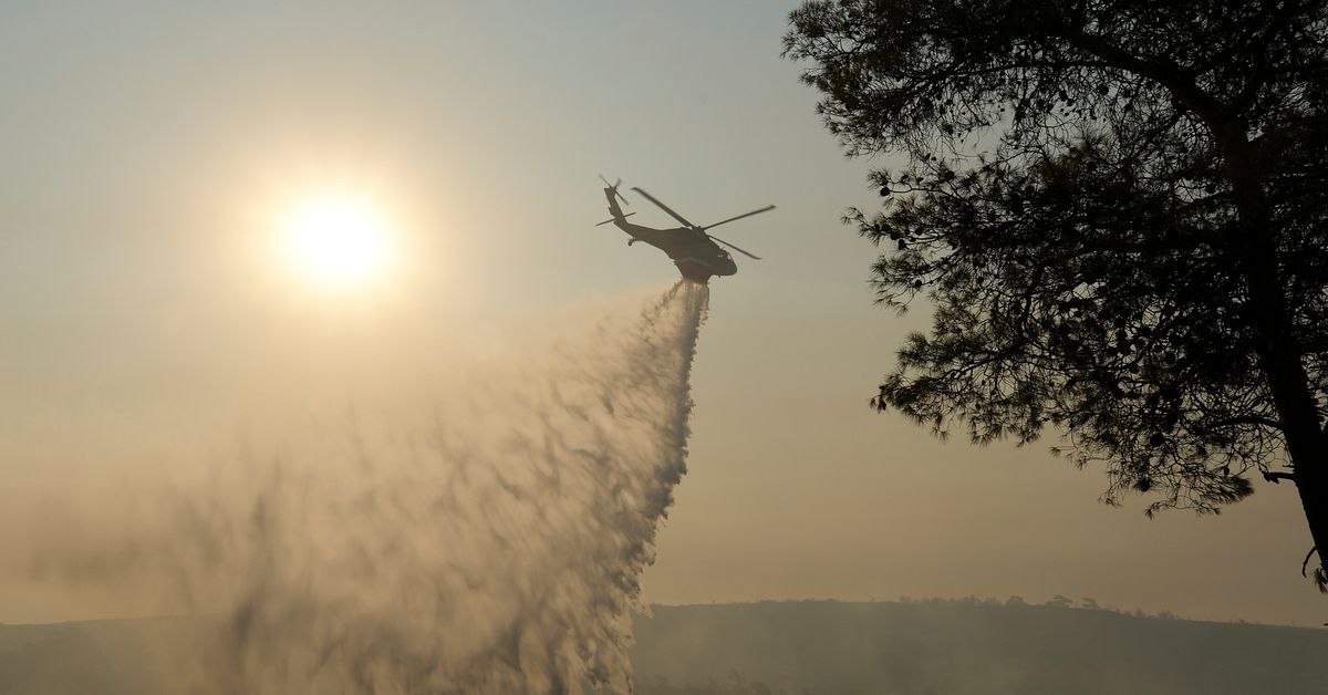 Massiv brand sprider sig snabbt på Cypern – två döda