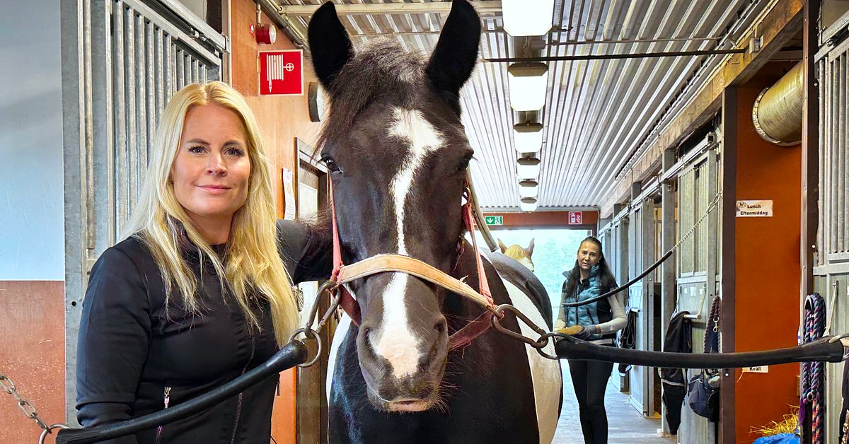 Nu kommer fritidskortet – Mora ridklubb: ”Fler kan prova ridsport”