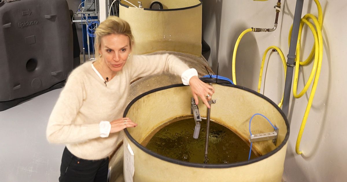 S&ouml;dert&auml;lje hyllar metod mot fettproppar &ndash; ratas nu av Stockholm