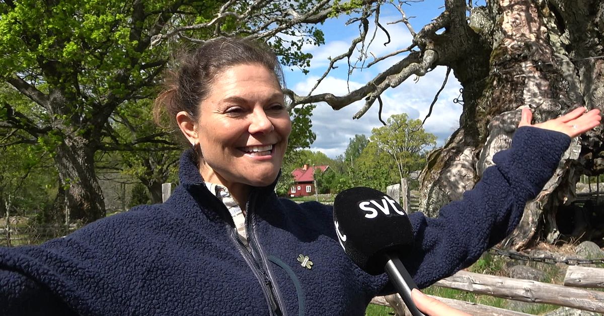 Kronprinsessan besökte Kvilleken – såg både rumpnissar och Borkarövare