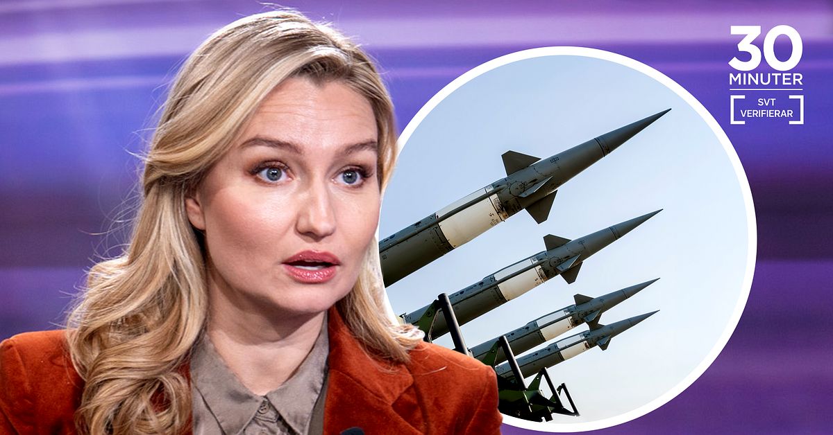 Busch (KD): &rdquo;Orealistiskt&rdquo; med k&auml;rnvapen p&aring; svensk mark