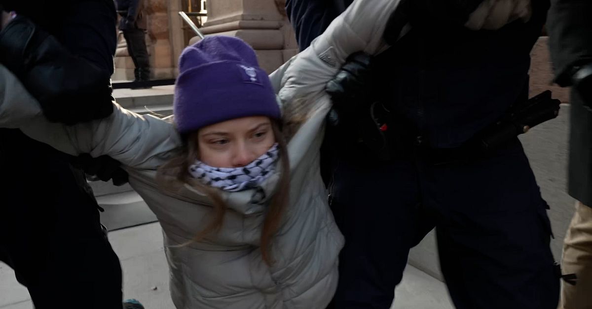 Greta Thunberg is dragged away from the Riksdag