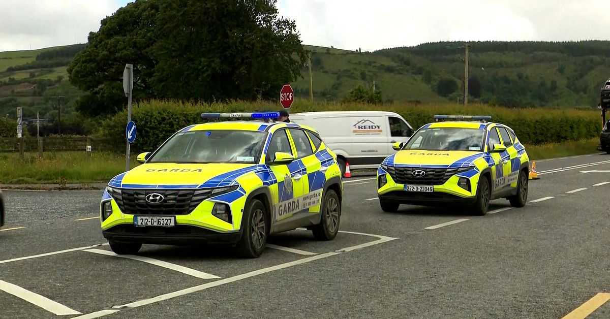 Svensk d&ouml;d i bilkrasch p&aring; Irland &ndash; p&aring; v&auml;g mot best&auml;llningsmord