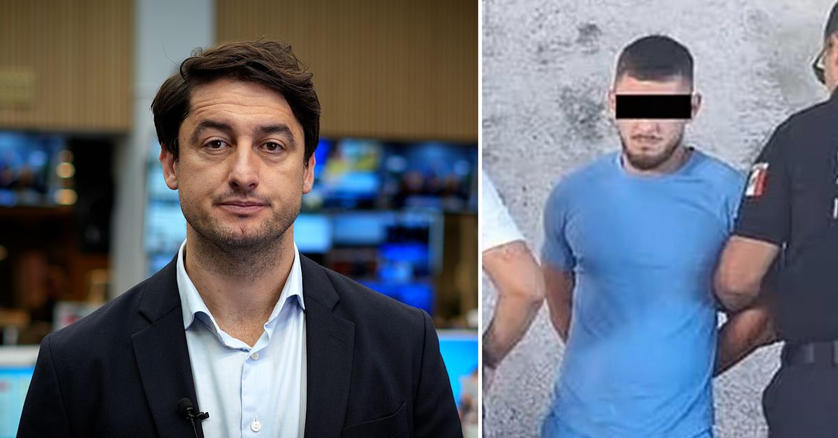 ”Greken” häktad i Sverige – här är listan med alla brotten