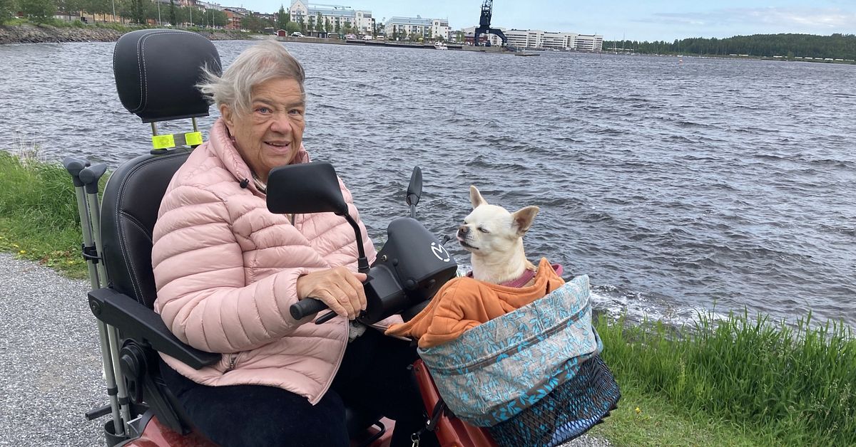 B&auml;stisar &ndash; se n&auml;r hunden Luna cruisar i Annikas permobil