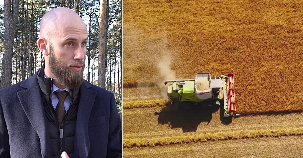 Spannmålslager på gång i norra Sverige: ”Ska kunna sätta mat på bordet”