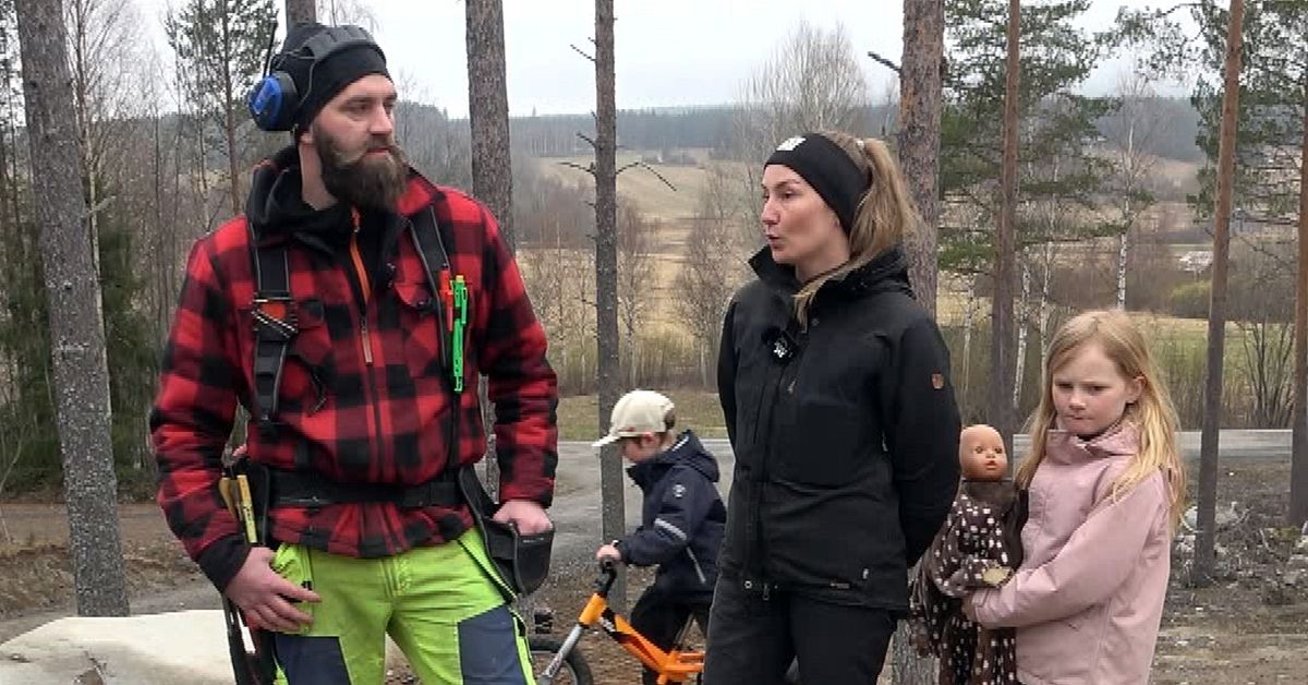 Bygger sitt drömhus i Tavelsjö – oroas av vindkraft: ”Förstör en bit av naturen”