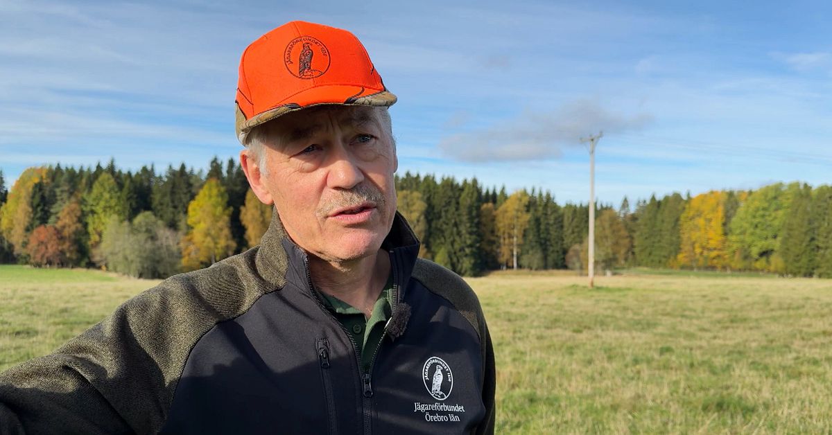 Efter flera djurangrepp: Varg skjuten i Karlskoga