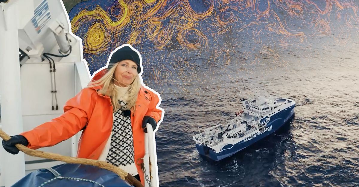 Jakten p&aring; svar &ndash; se den &ouml;verraskande uppt&auml;ckten om Golfstr&ouml;mmen