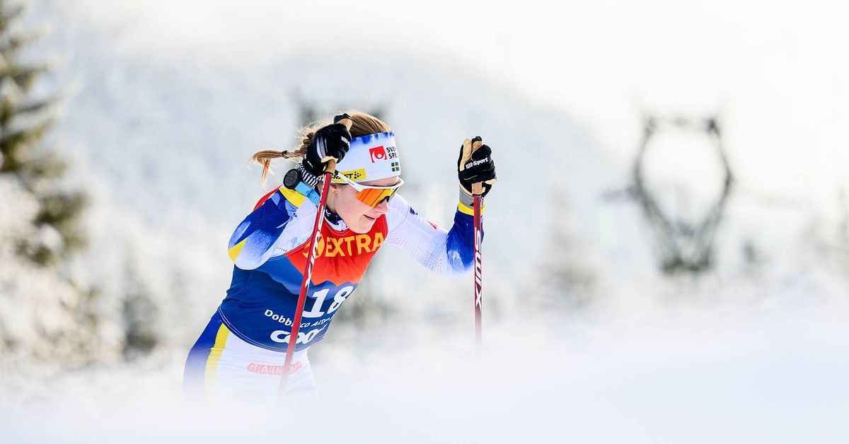 World Cup in Cross-Country Skiing 2023/24: Schedule and Swedish Participants