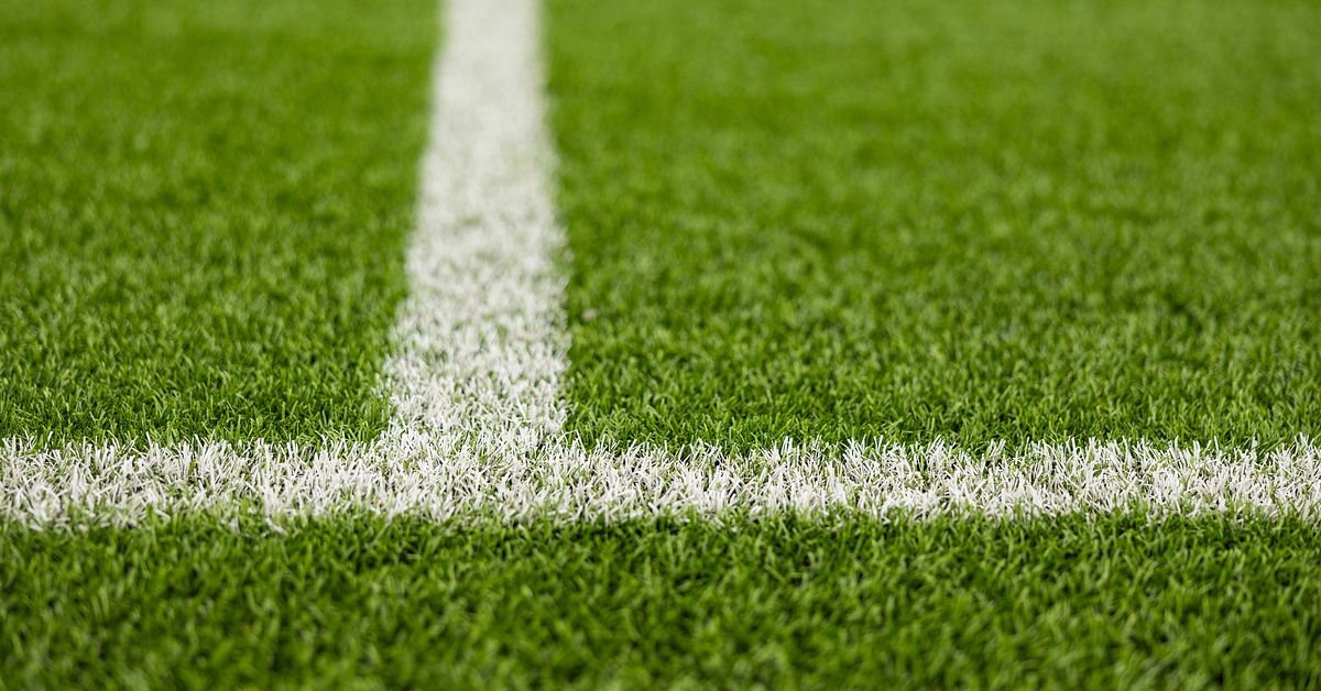 サッカー: スウェーデンのサッカー代理人がオーストリアで逮捕されたことが判明