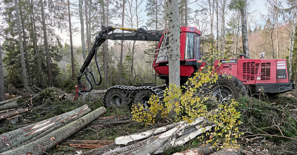 Skogsutredningen föreslår kritiserat räknesätt för klimatavtryck