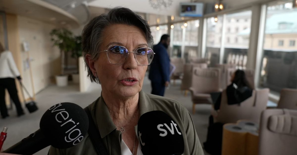 Hon röstade emot partilinjen: ”Kunde bara inte” | SVT Nyheter