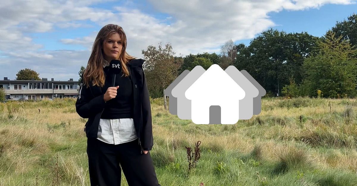 Vattenfall: F&ouml;rsta ans&ouml;kan om statligt st&ouml;d f&ouml;r k&auml;rnkraft