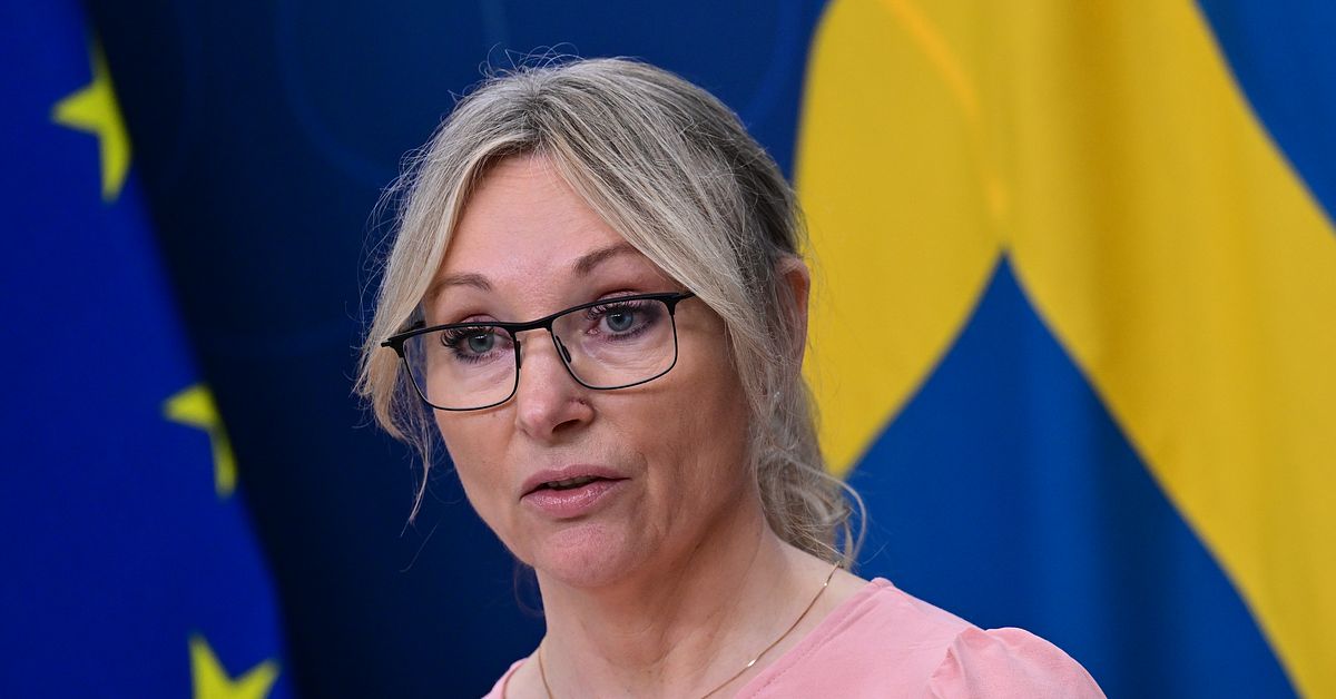 Stegrud om kritiken: ”Illa formulerad tweet”