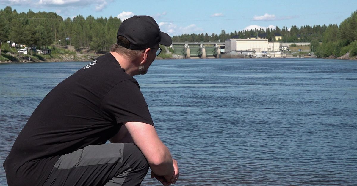 Yrkesfisket av lax i Lule älv stoppas: ”På väg att krascha”