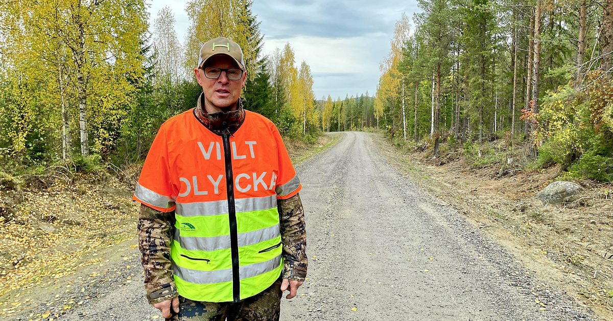 Viltolyckorna &ouml;kar: Thomas i V&auml;nn&auml;s blev efters&ouml;ksj&auml;gare efter &auml;lgkrock