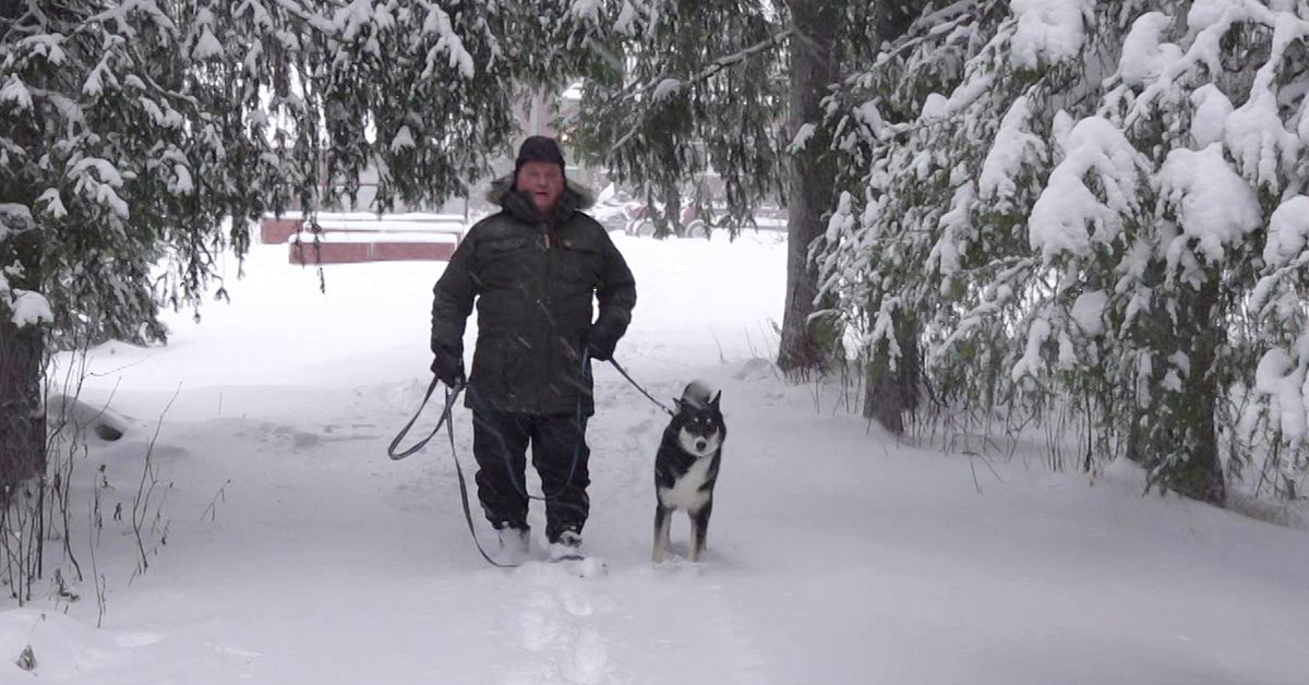 Jukkasjärvibon välkomnar tvärvändning om fjälljakten