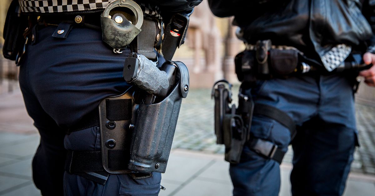Norsk polis ska beväpnas igen – öppnar upp för unikt gränssamarbete igen