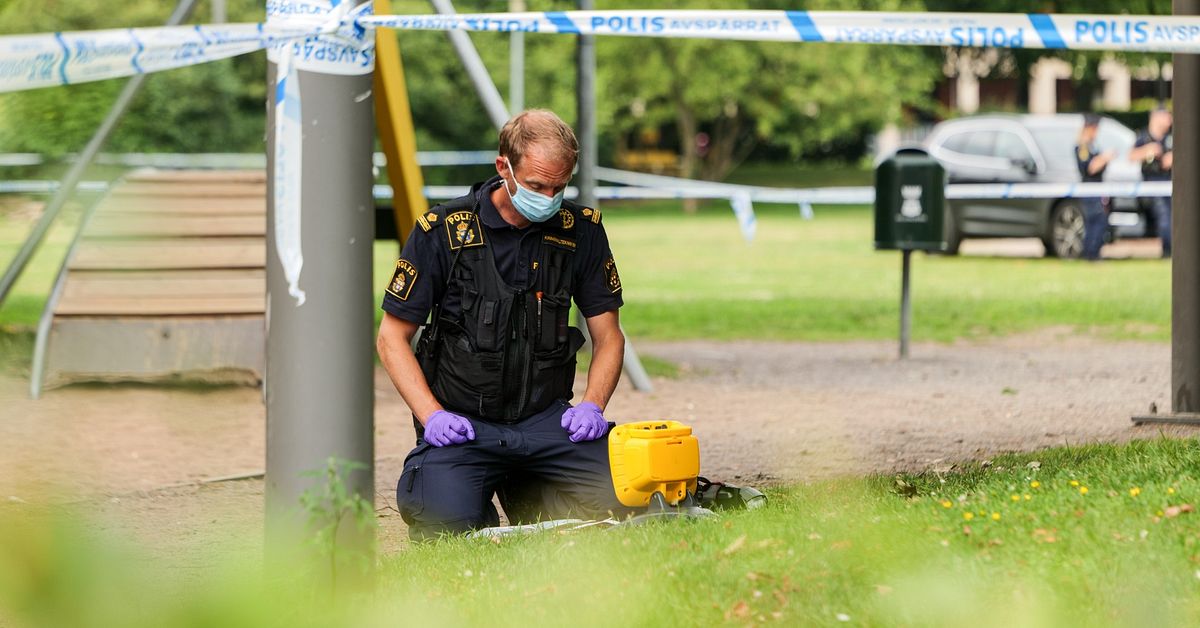 12-&aring;ring misst&auml;nks f&ouml;r mordf&ouml;rs&ouml;k &ndash; kopplas till v&aring;ldsamt Tiktok-konto