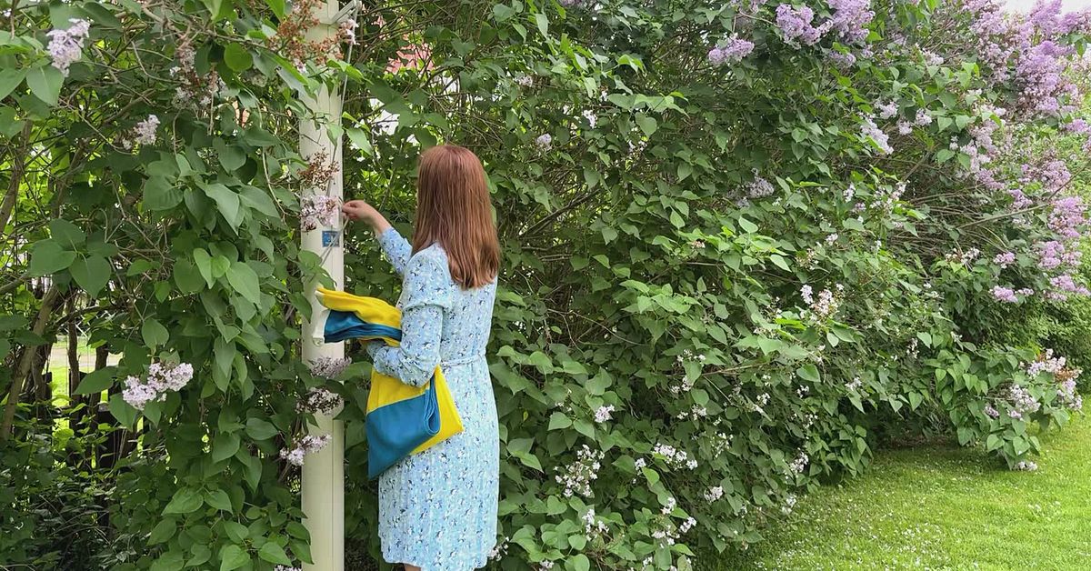 Flaggst&aring;ng utan vett och etikett? S&aring; flaggar du r&auml;tt p&aring; nationaldagen