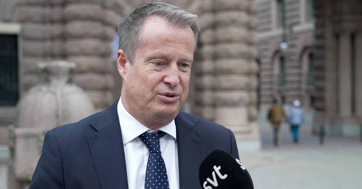 Ygeman efter SD-toppens foto på mamman: ”Upprörd”
