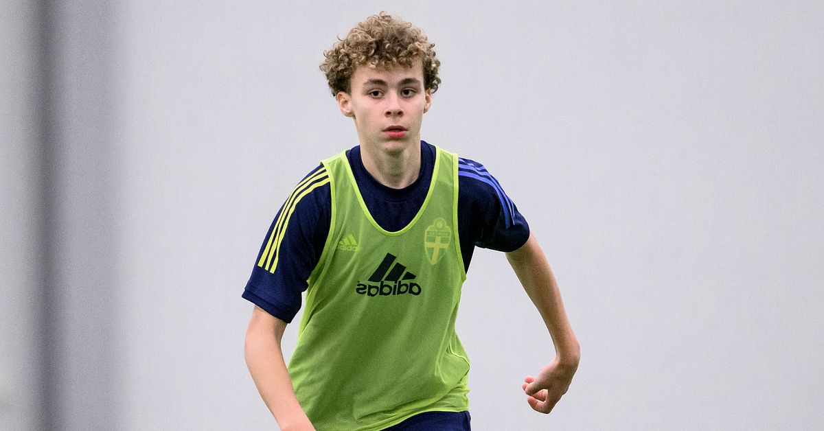 Vincent Ibrahimovic skriver proffskontrakt med Milan