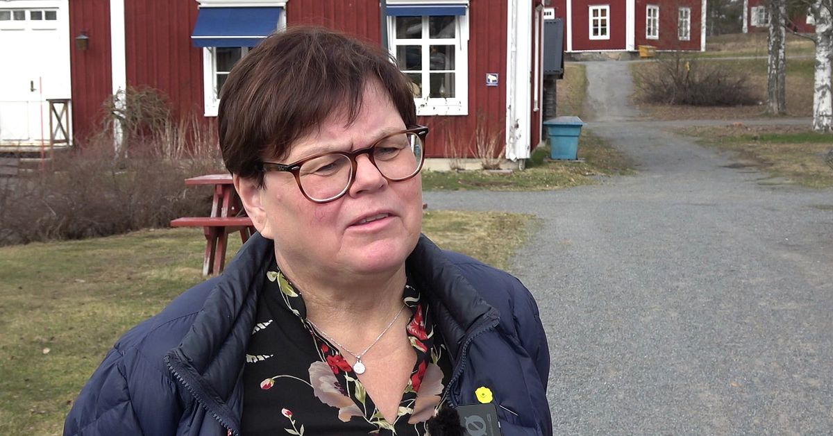 Nordmark (S) lämnar politiken: ”Kan inte sitta kvar”