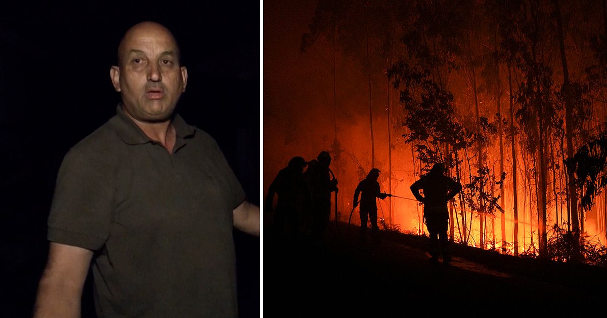 Nya siffror slår fast: Skogsbränderna fortsätter öka i Europa