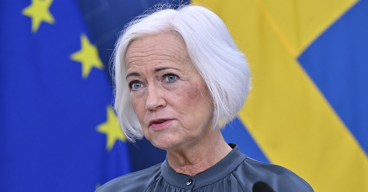 Sjukvårdsministern Acko Ankarberg Johansson (KD) lämnar sin post