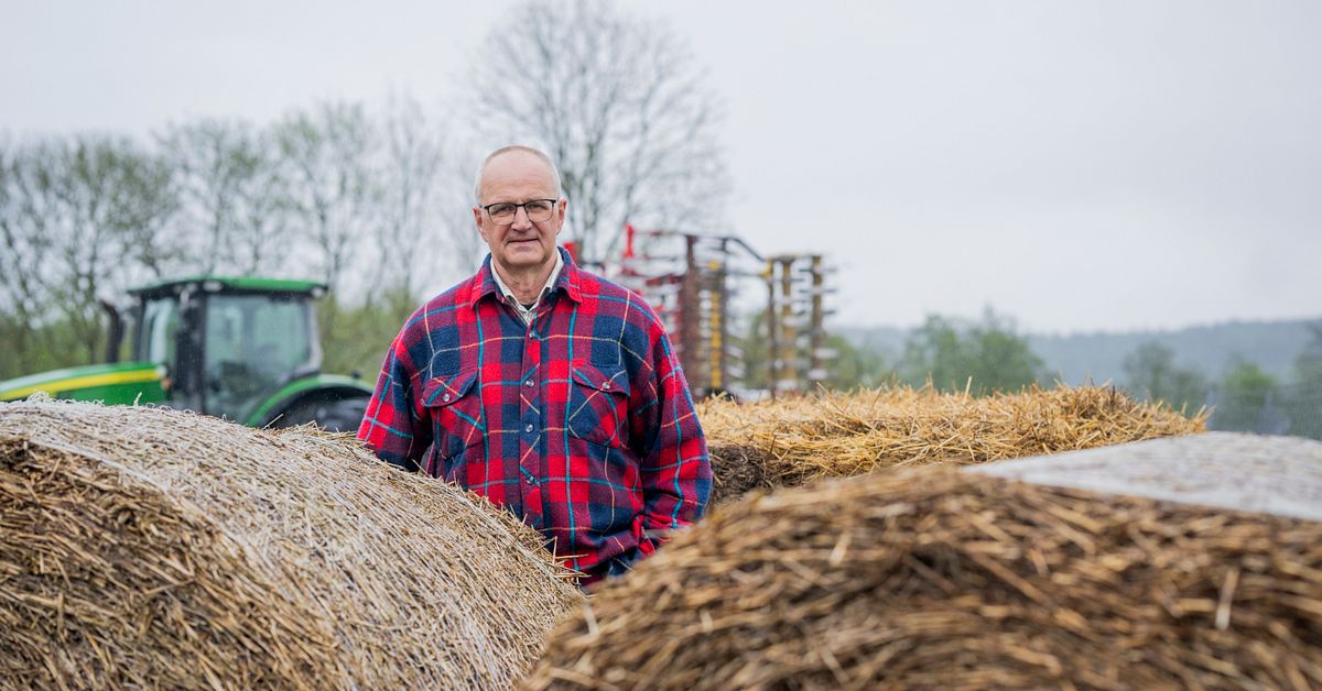 Svenska b&ouml;nder pressas av kriget i Mellan&ouml;stern &ndash; s&aring; mycket dyrare kan maten bli